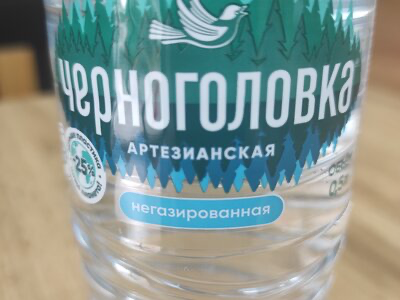 Вода Черноголовка (негазирован.) 500 мл